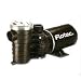 Sta-Rite Industries 1 Hp Above Ground Pool/Spa Pum FP6131