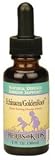 Herbs For Kids - Echinacea / Golden Root Orange 2 Oz Bottle