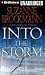 Book Into the Storm (Troubleshooters, Book 10)