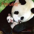 Pandas 2009 Wall Calendar