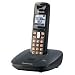 Panasonic Dect 6.0 Titanium Black Cordless Phone  (KX-TG6411T)
