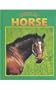 Horse (Caring for Your Pet)