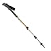Black Diamond Spire Trekking Poles (Burnt Orange)