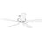 Hunter 25517 Summer Breeze Ceiling Fan with White/Bleached Oak Blades, White