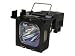 TLP-LW14 Replacement Lamp for TDP-TW355U