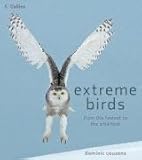 Extreme birds