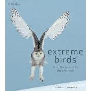 Extreme Birds