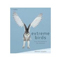 Extreme Birds: From the fastest to the smartest