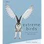 Extreme Birds