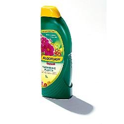 Plant Fertilizer - Algoflash Flowering Fertilizer