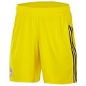 Liverpool Home Goalkeeper Short 2009/10 - Sun/Phantom
