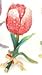 Piearth sA[X WG[{bNX NX^ Δ t[ `[bv NO222 bh 222-2 RD
