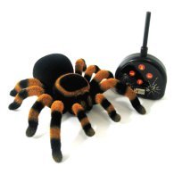 Childrens Toyshop  Toys : Remote Control Tarantula
