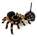 Remote Control Tarantula