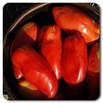 100% Certified Organic: Gilbertie Paste Tomato Seeds - B002ATB5MQ