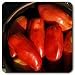 100% Certified Organic: Gilbertie Paste Tomato Seeds