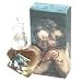 Womens Designer Perfume by Alberta Ferretti, ( FEMINA EAU DE PARFUM SPRAY A 0.8 oz. +...