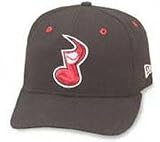 Nashville Sounds Home Cap by New Era