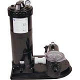 Buy Filter Pump Unit, 1.5 HP, 100 Sq Ft Cartridge with Fittings by Advantage&node=2972638011