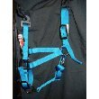 Weaver Large miniature horse mini Horse Nylon Halter Blue