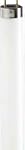 Philips G13 Tube Fluorescent 18w 4000...