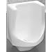 Zurn Z5795 Large Waterless Urinal