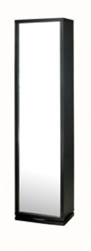 Adesso Turner Mirror/Wardrobe, Black