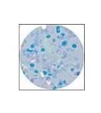 EzFlow Boogie Nights Glitter Acrylic - 102 Disco Nights - 1 OZ.