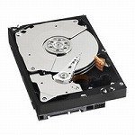 WESTERN DIGITAL 3.5C`HDD 1TB Serial-ATA 7200rpm 32MB WD1001FALS