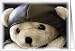 Teddy Bear Pilot Card