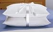Standard Size White Goose Feather and Goose Down Pillows - Set of 2
