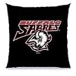 Buffalo Sabres Team Toss Pillow 18x18 - NHL Hockey Sports Team Merchandise