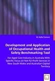Development and Application of Occupational Health and Safety Benchmarking Tool