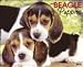 beagle32 - Just Beagle Puppies 2010 Wall Calendar