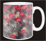 RED FLOWER CACTUS Coffee MUG