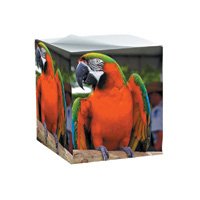 Pet Note Cube- Personalized With Your Pet's Photo