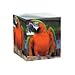 Pet Note Cube- Personalized With Your Pet's Photo