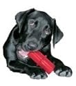 Kong dental stick for dogs - large