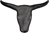 Roping Steer Head w/ 24" Horn Spread