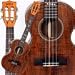 Kala Solid Acacia Tenor Ukulele Kala Solid Acacia Tenor Ukulele