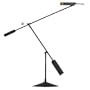 Halley Adjustable LED Black Finish Desk Lamp