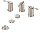Danze Two Handles Bidet Faucet D326058BN Brushed Nickel