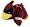 Iowa State Cyclones
