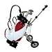 Desktop Gift-Golf Caddy Cart Pens Holder