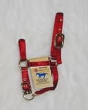 Hamilton Deluxe 3/4 Nylon Miniature Horse Halter, Red, Average