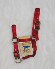 Hamilton Deluxe 3/4" Nylon Miniature Horse Halter, Red, Average