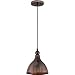 Quoizel CKGN1509MZ 1-Light Gaston Mini Pendant in Mottled Bronze