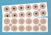 Magnetty Magnets