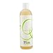 DevaCurl DevaCare Arc Angel 12 Ounce