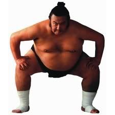 Sumo Wrestler Die-Cut Photographic Magnet